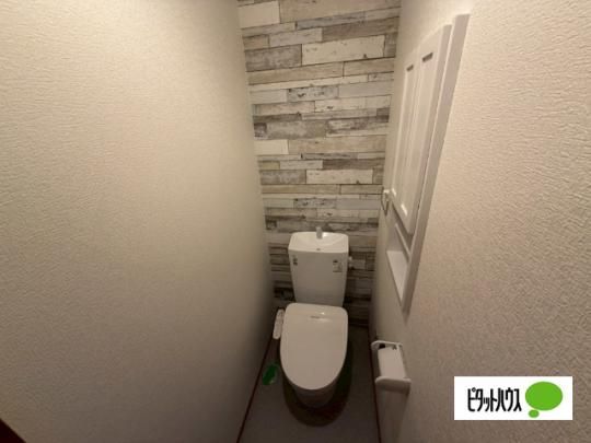 �y���̑��z�@�g�C��