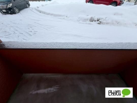 �y���̑��z�@�o���R�j�[