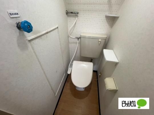 �y���̑��z�@�g�C��