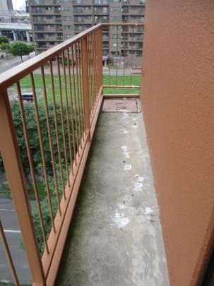 �y���̑��z�@�o���R�j�[