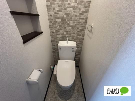 �y���̑��z�@�g�C��