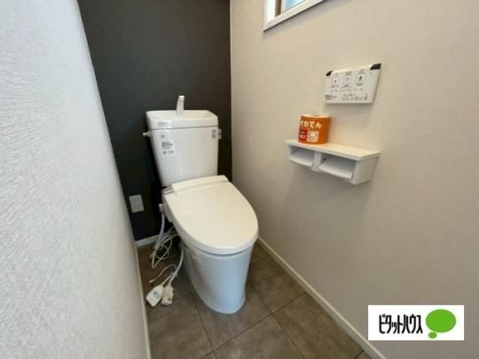 �y���̑��z�@�g�C��