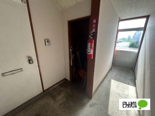 �y�����O�ρz�@���r�[