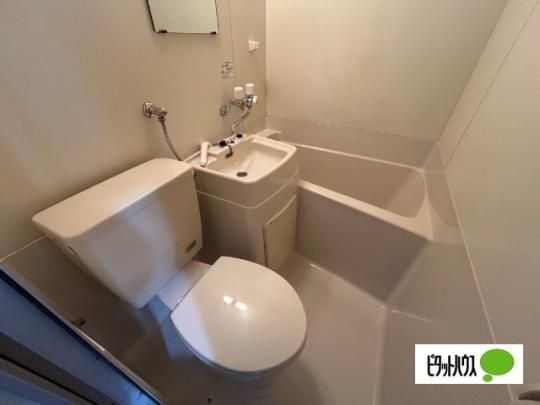 �y���̑��z�@�g�C��