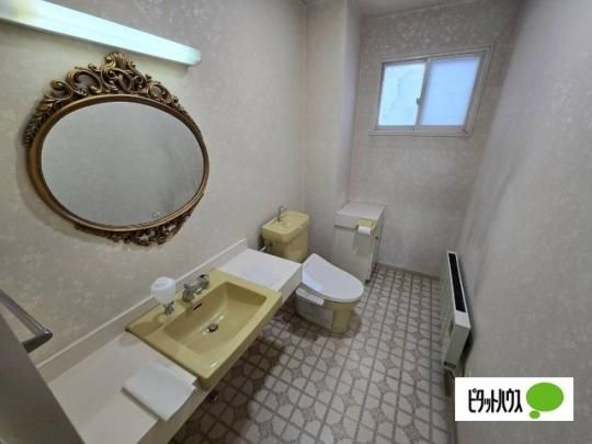 �y���̑��z�@�g�C��