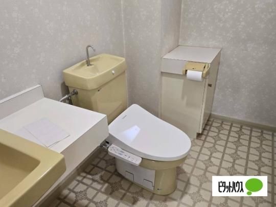 �y���̑��z�@�g�C��