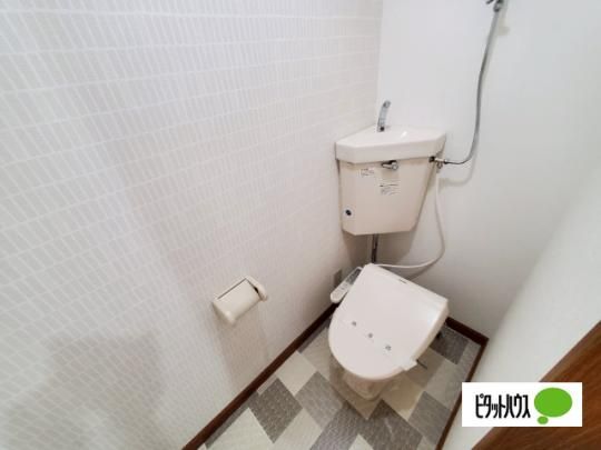 �y���̑��z�@�g�C��