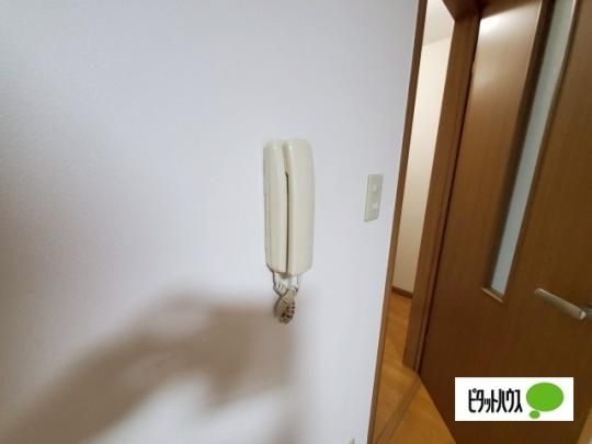 �y���̑��z�@�Z�L�����e�B