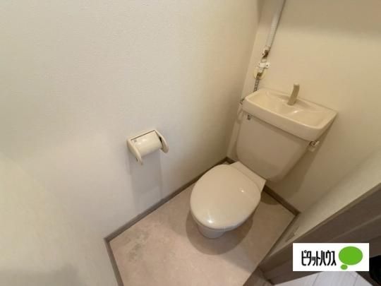 �y���̑��z�@�g�C��