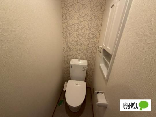 �y���̑��z�@�g�C��