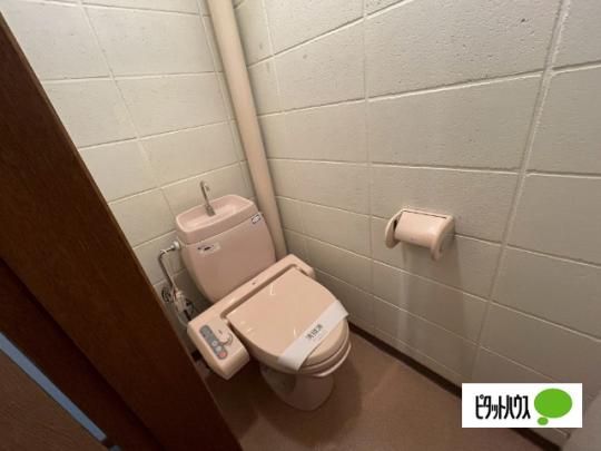 �y���̑��z�@�g�C��
