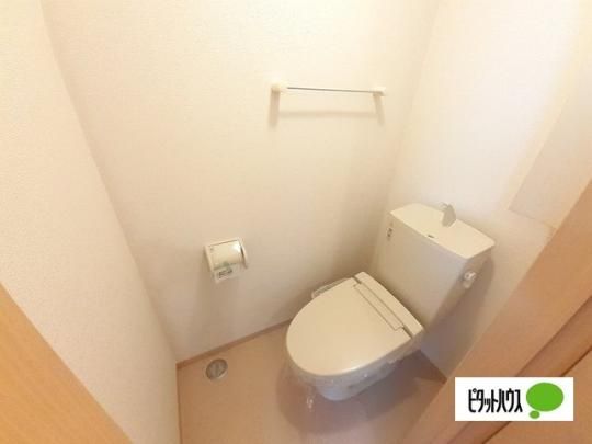 �y���̑��z�@�g�C��