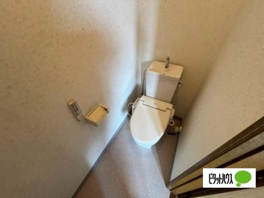 �y���̑��z�@�g�C��