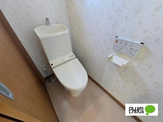 �y���̑��z�@�g�C��