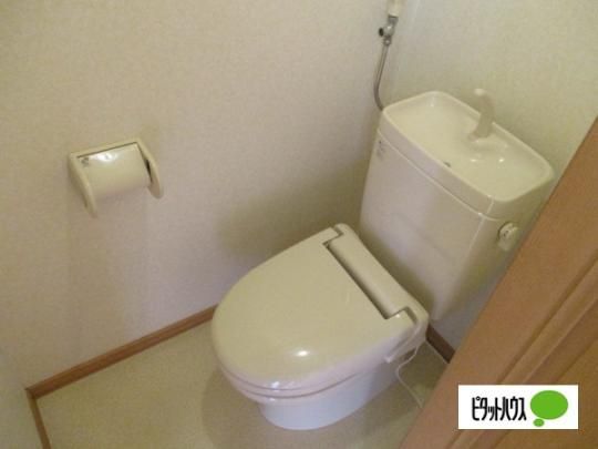 �y���̑��z�@�g�C��