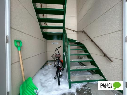 �y�����O�ρz�@���r�[