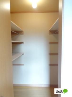 �y���̑��z�@���[