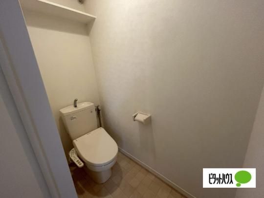 �y���̑��z�@�g�C��