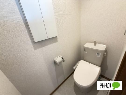 �y���̑��z�@�g�C��