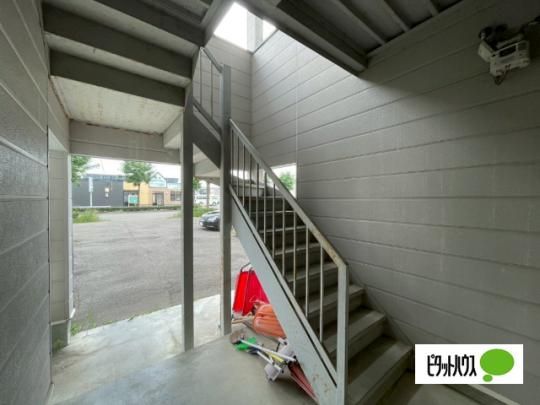 �y�����O�ρz�@���r�[