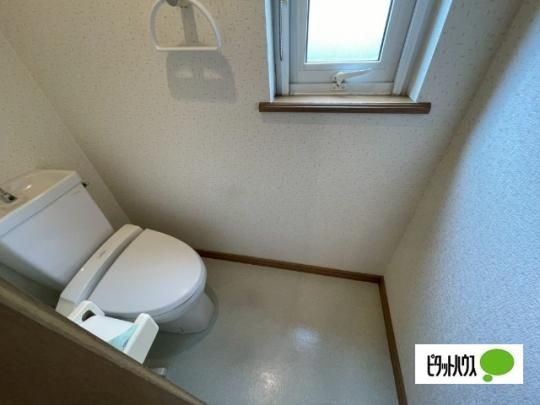 �y���̑��z�@�g�C��