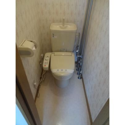 �y���̑��z�@�g�C��