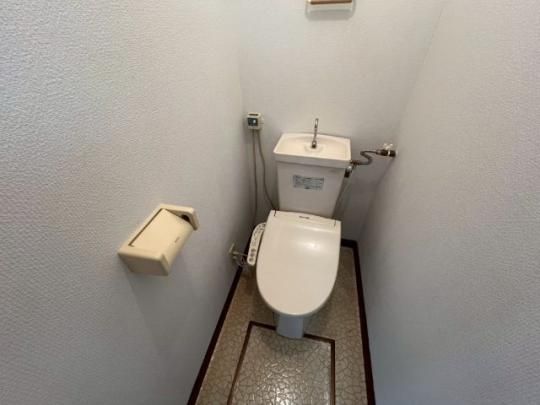 �y���̑��z�@�g�C��