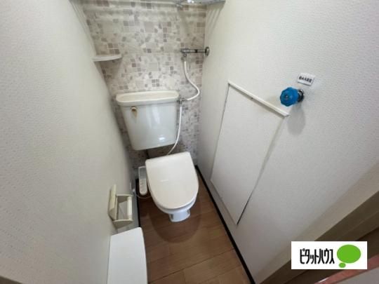 �y���̑��z�@�g�C��