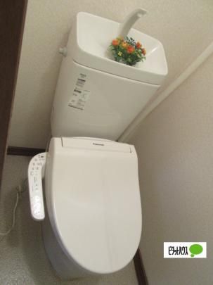 �y���̑��z�@�g�C��