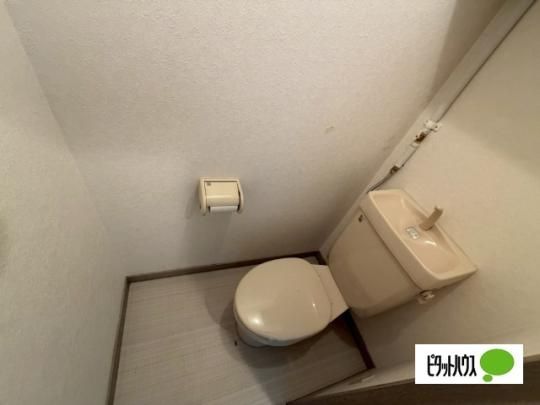 �y���̑��z�@�g�C��