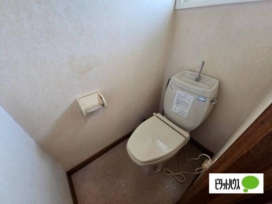 �y���̑��z�@�g�C��