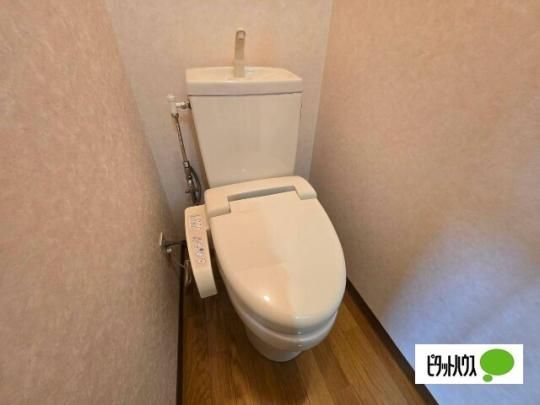 �y���̑��z�@�g�C��