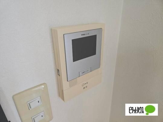 �y���̑��z�@�Z�L�����e�B