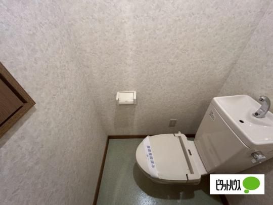 �y���̑��z�@�g�C��