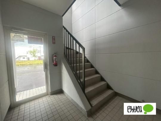 �y�����O�ρz�@�G���g�����X