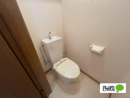 �y���̑��z�@�g�C��