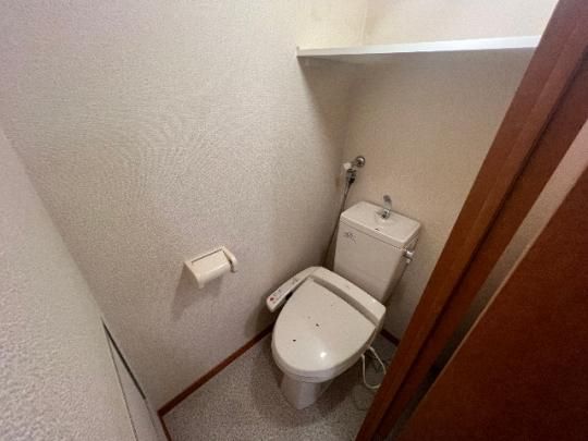 �y���̑��z�@�g�C��