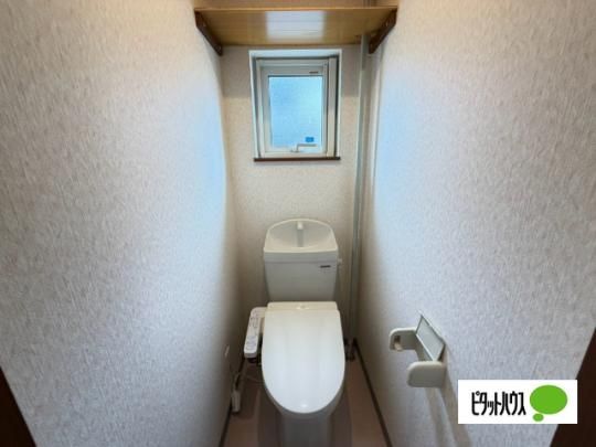 �y���̑��z�@�g�C��