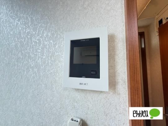 �y���̑��z�@�Z�L�����e�B