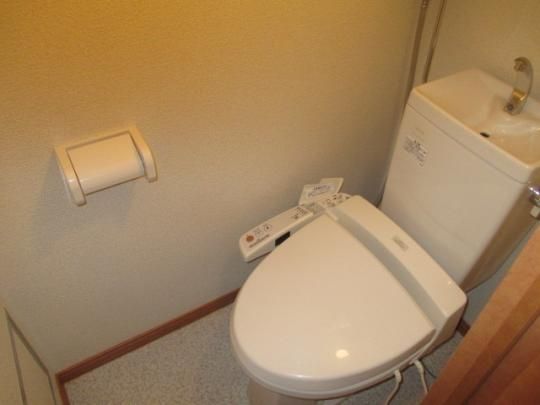 �y���̑��z�@�g�C��