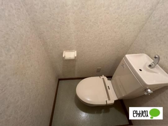 �y���̑��z�@�g�C��