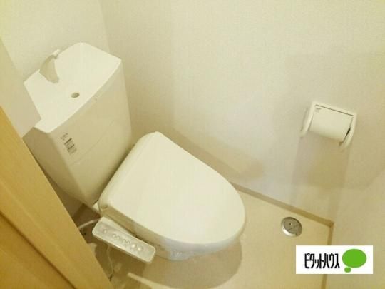�y���̑��z�@�g�C��