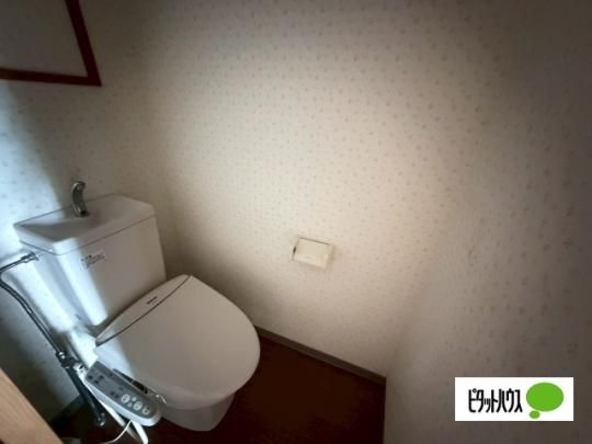 �y���̑��z�@�g�C��