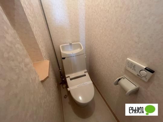 �y���̑��z�@�g�C��