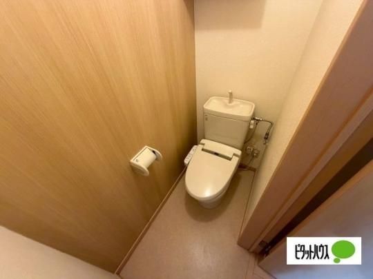 �y���̑��z�@�g�C��