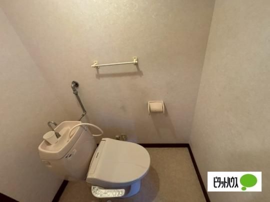 �y���̑��z�@�g�C��