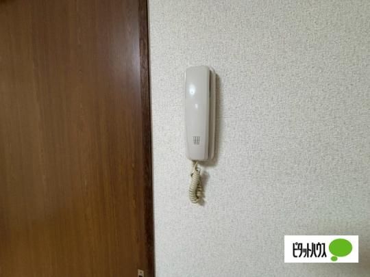 �y���̑��z�@�Z�L�����e�B