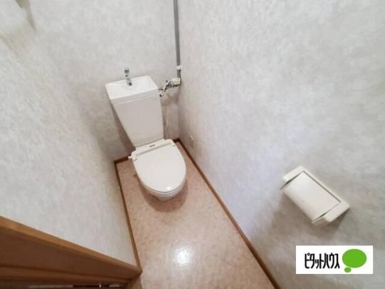 �y���̑��z�@�g�C��