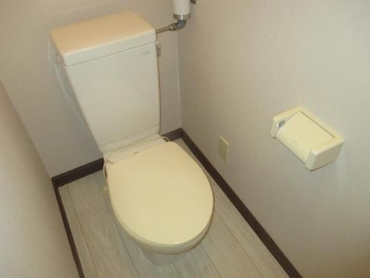 �y���̑��z�@�g�C��