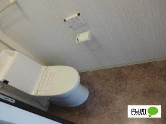 �y���̑��z�@�g�C��